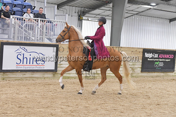 078_9315-Do_not_copy_PROOF