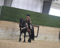 076.1 Friesian Western Pleasure WTL Amateur