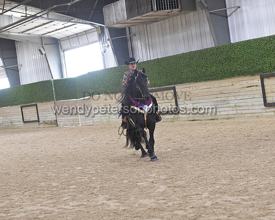 076_9251-Do_not_copy_PROOF