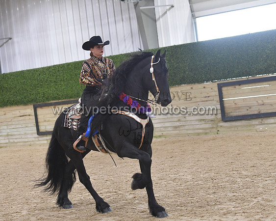 076_9253-Do_not_copy_PROOF