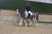 077 Feathered Horse WT ALL