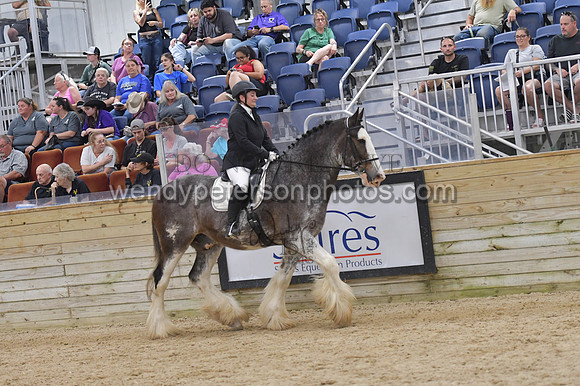 077_9275-Do_not_copy_PROOF