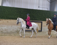 061 Easy Gaited Pleasure 2 Gaited 10+