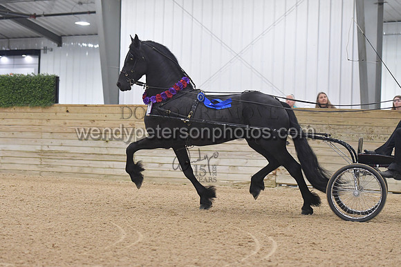 103_0094-Do_not_copy_PROOF