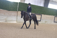 104 Standardbred Eng or Western Pleasure