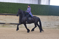 106 Friesian WT Pleasure SS Amateur