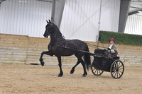 111 Jackpot Best of Breed English Pleasure Driving