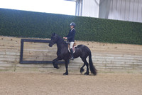 113 Friesian English Pleasure Hunt Seat