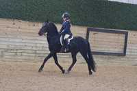 115 Hunt Seat Eq WT 14U
