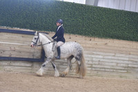 127 Bareback Equitation WTC