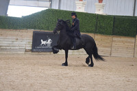124 Friesian WT Country English Pleasure