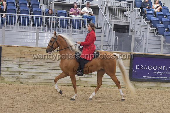 114_0358-Do_not_copy_PROOF