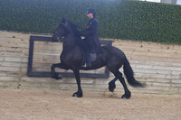 122 Saddle Seat Pleasure WT 15+