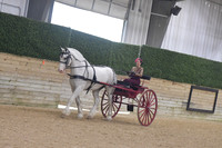 121.1 Show Pleasure Driving Open