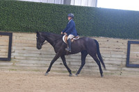 120 Thoroughbred HUS WTC 15+