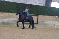 118 Friesian English Pleasure SS Open