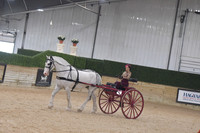 117 Feathered Horse Pleasure Driving