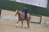 127.1 Western Pleasure WJL Open