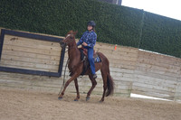 132 Ranch Pleasure WT 14U