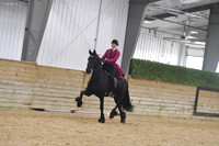 130 Friesian Eng Pleasure SS WT Open