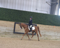 163 Hunt Seat Pleasure WTC Open