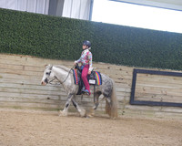 162 Jackpot Best of Breed Western Pleasure WT