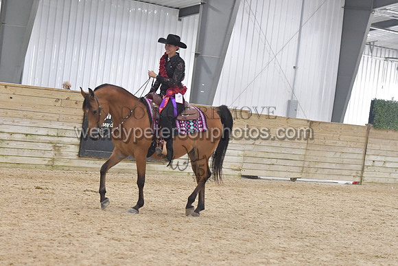 162_1253-Do_not_copy_PROOF