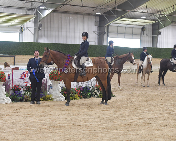 156_1218-Do_not_copy_PROOF