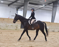 156 Hunt Seat EQ WTC 15+