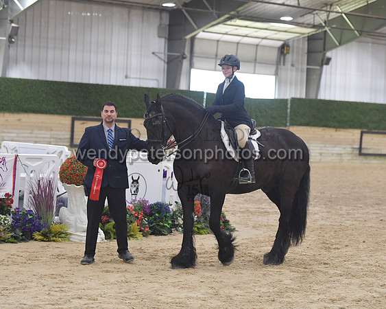 154_1184-Do_not_copy_PROOF