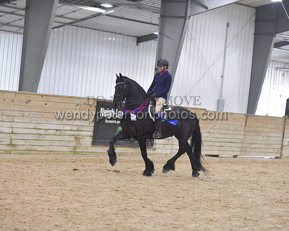 154_1190-Do_not_copy_PROOF