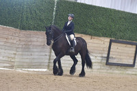 154 Friesian Eng Pleasure Hunt Seat