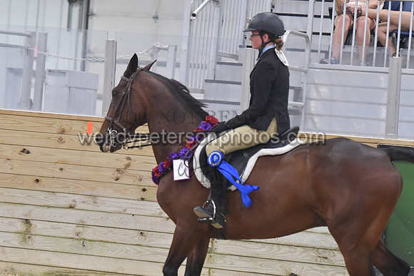 153_1156-Do_not_copy_PROOF