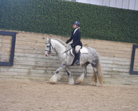 153 Hunter Under Saddle 14U