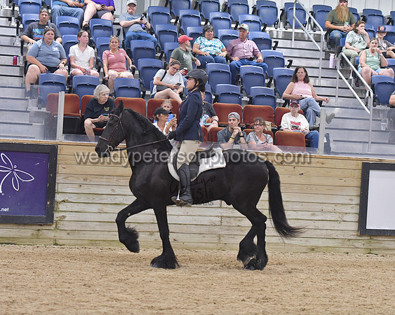 152_1108-Do_not_copy_PROOF
