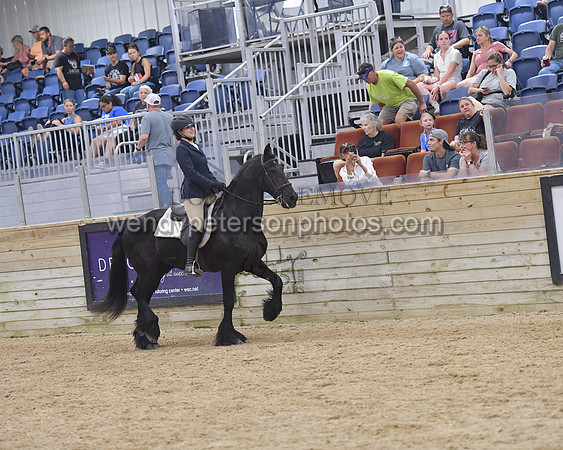 152_1109-Do_not_copy_PROOF