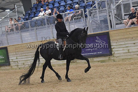 151_1077-Do_not_copy_PROOF