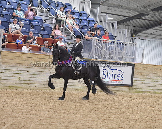 151_1095-Do_not_copy_PROOF