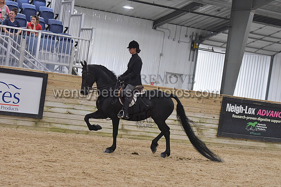 151_1069-Do_not_copy_PROOF