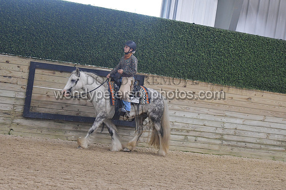 148_1045-Do_not_copy_PROOF