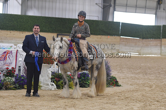 148_1054-Do_not_copy_PROOF