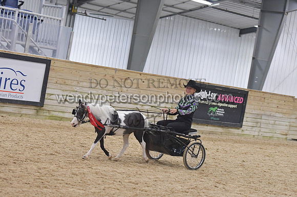 145_1041-Do_not_copy_PROOF