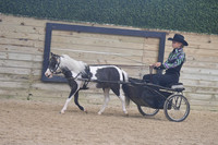 146 Open Pony Pleasure Driving