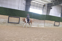 139 Arabian & half Western Pleasure_