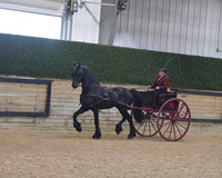 135.1 Carriage Pleasure Driving Working