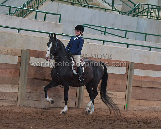 039_2463-Do_not_copy_PROOF