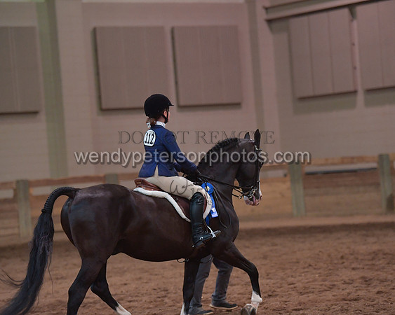 039_2480-Do_not_copy_PROOF