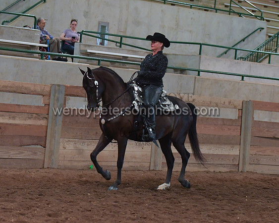 038_2423-Do_not_copy_PROOF