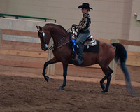 038 Morgan Western Pleasure Junior Horse