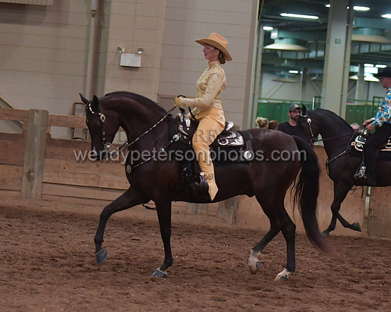 038_2430-Do_not_copy_PROOF